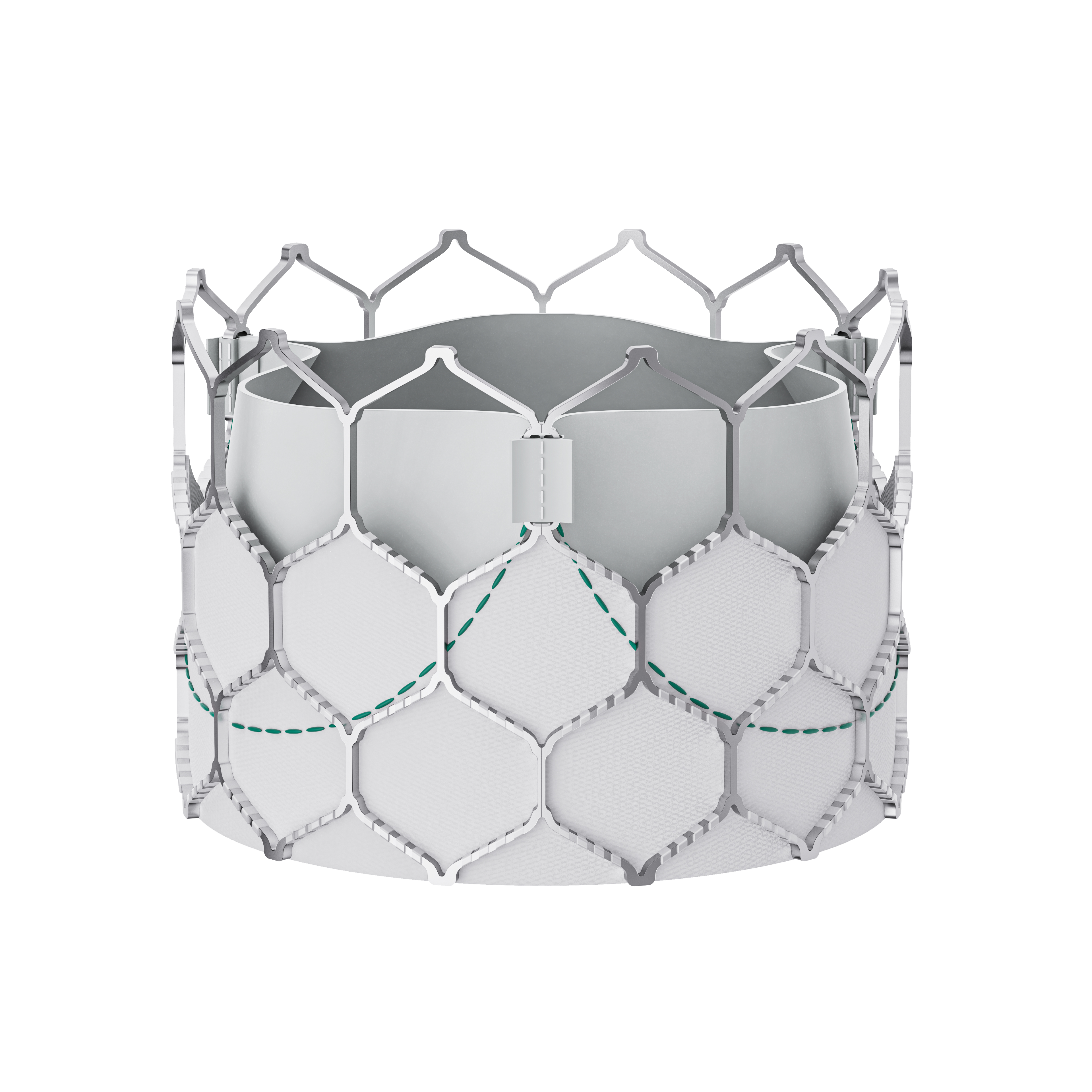 RENATO® 经导管瓣中瓣系统